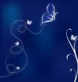 Butterflies Butterflies vector image