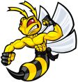 Fighting hornet vector image