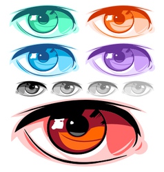 Eye vector image