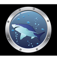 Porthole and a shark vector image