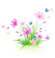 Floral background with cosmos flowers vector image
