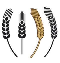 Wheat ear icon set vector image