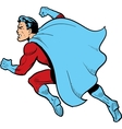 Fighting Superhero vector image