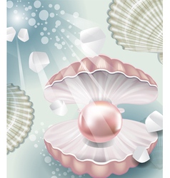 Background with pearl vector image
