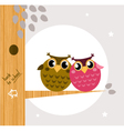 Owl friends vector image