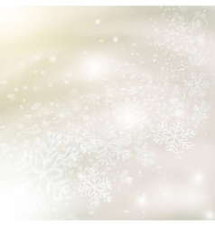 Christmas snowflakes vector image