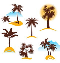Palm trees vector image
