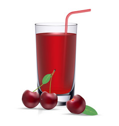 Set of cherry juice and fresh ripe berries Set of cherry juice and fresh ripe berries vector image