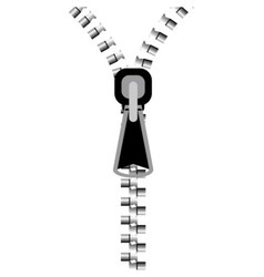 Zipper vector image