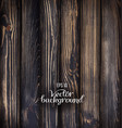 Wood plank background vector image