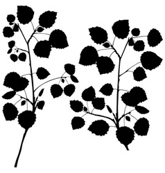 Branch Silhouettes vector image