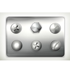 Set of screws vector image
