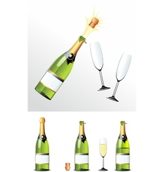 Champagne bottle vector image