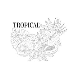 Tropical Fruits And Plants Still Life Hand Drawn vector image