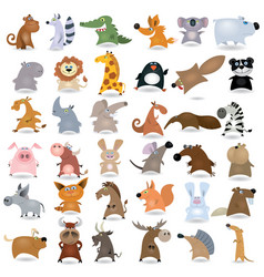 Cartoon animal set vector image
