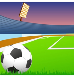 Soccer ball vector image