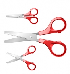 Scissors vector image