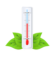 Thermometer vector image