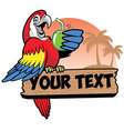 Parrot drink a coconut water grip the text space vector image