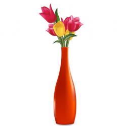 Tulips vector image