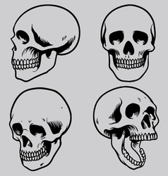 Skull set vector image