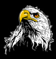 White Eagle Head vector image