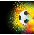 Soccer ball vector image