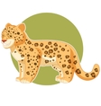 Cute jaguar cub Royalty Free Vector Image - VectorStock