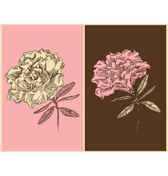 Azaleas - Vintage floral design vector image