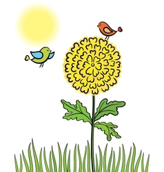 Birds on a flower vector image