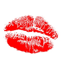 Lipstick kiss vector image