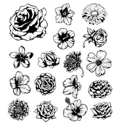 Web template vector image