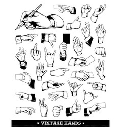 Set of vintage hands vector image