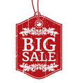 Big Sale vector image