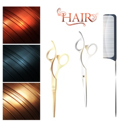 Hair vector image