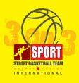 Basketball vector image