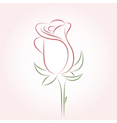Rose vector image