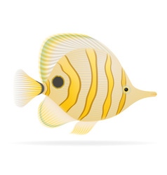 Aquarium fish 04 vector image