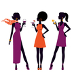 Elegant cocktail party vector image
