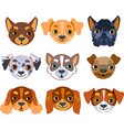 Dogs set vector image