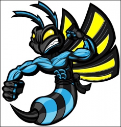 Wasp ninja hornet vector image