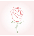 Rose vector image
