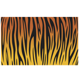 Tiger skin texture background vector image