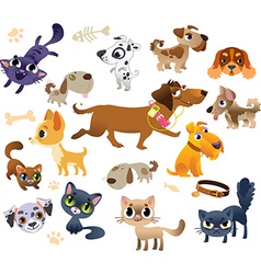 Collection of cats and dogs vector image