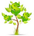 Dollar tree vector image