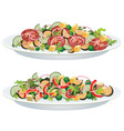 Vegetable salads vector image