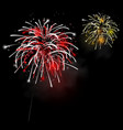 Fireworks in the night sky vector image