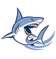 Shark mascot Shark mascot vector image