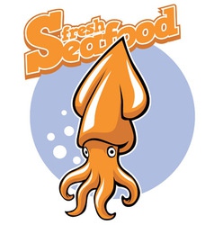 Cartoon squid vector image