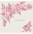 Roses corner ornaments vector image